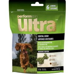 Mint Dental Chew Medium Dog Treats