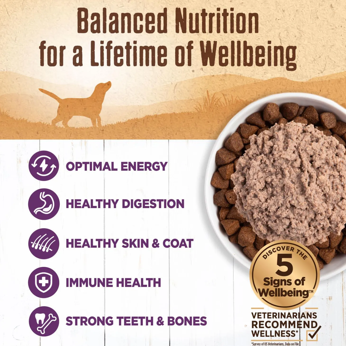 Mixer or Topper 95% Chicken Pate Dog Food