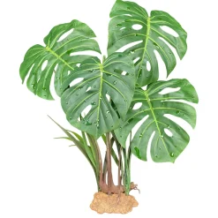 Monstera Standing Plant