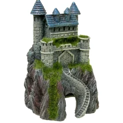 Mountain Top Castle