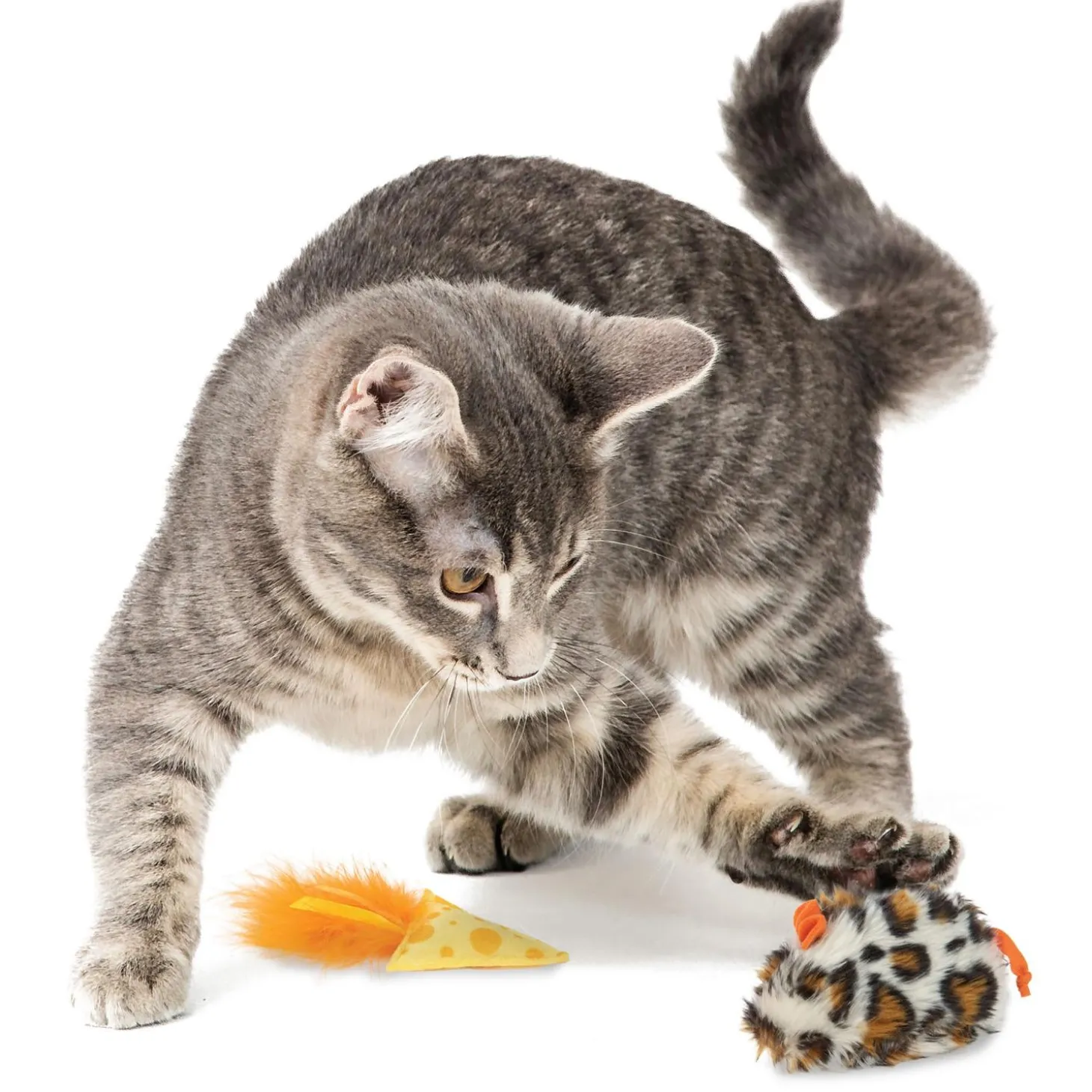 Mouse N Mate Cat Toys