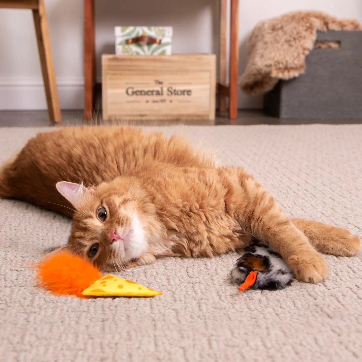 Mouse N Mate Cat Toys