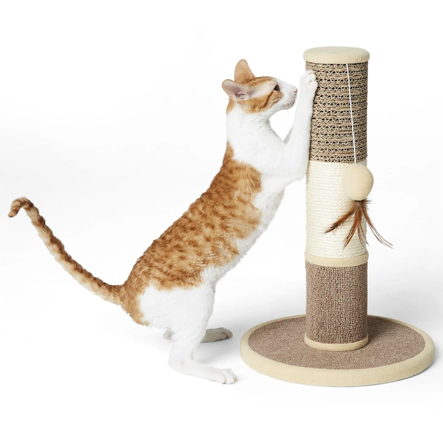 Multi-Surface Cat Scratch Post