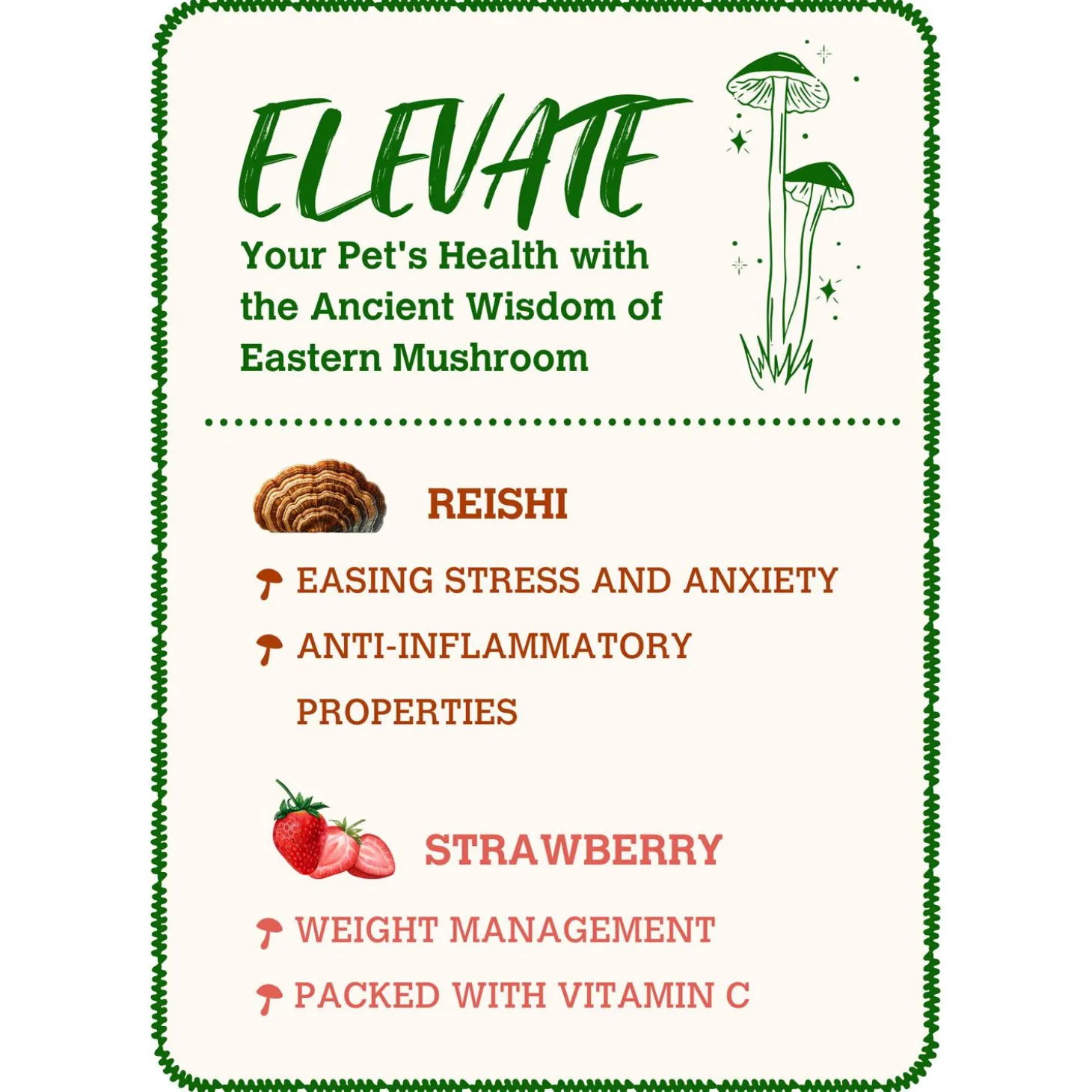 Mushroom Bone Broth Reishi & Strawberry Dog & Cat Meal Topper