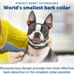 NanoBark Small Dog Collar