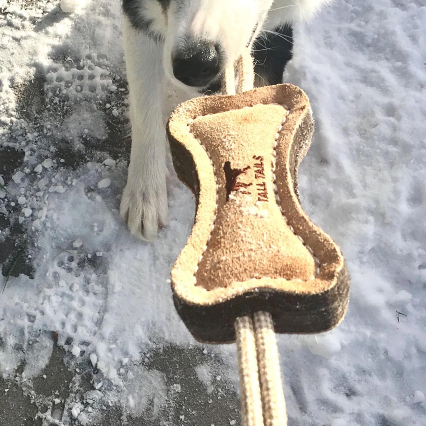 Natural Leather & Wool Bone Tug Dog Toy