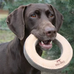 Natural Leather & Wool Ring Dog Toy