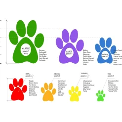 Natural Rubber Boots