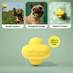 Natural Rubber Dog Fetch Toy