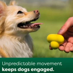 Natural Rubber Dog Fetch Toy