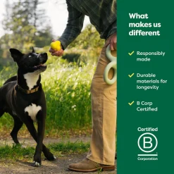 Natural Rubber Dog Fetch Toy