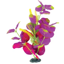 Naturals Moneywort Silk Plant