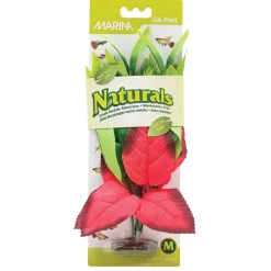 Naturals Pickerel Silk Plant