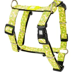 Neoprene Kiwi Dog H-Harness
