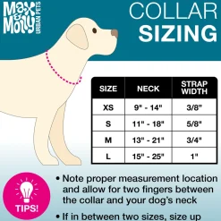 Neoprene SMART ID Kiwi Dog Collar