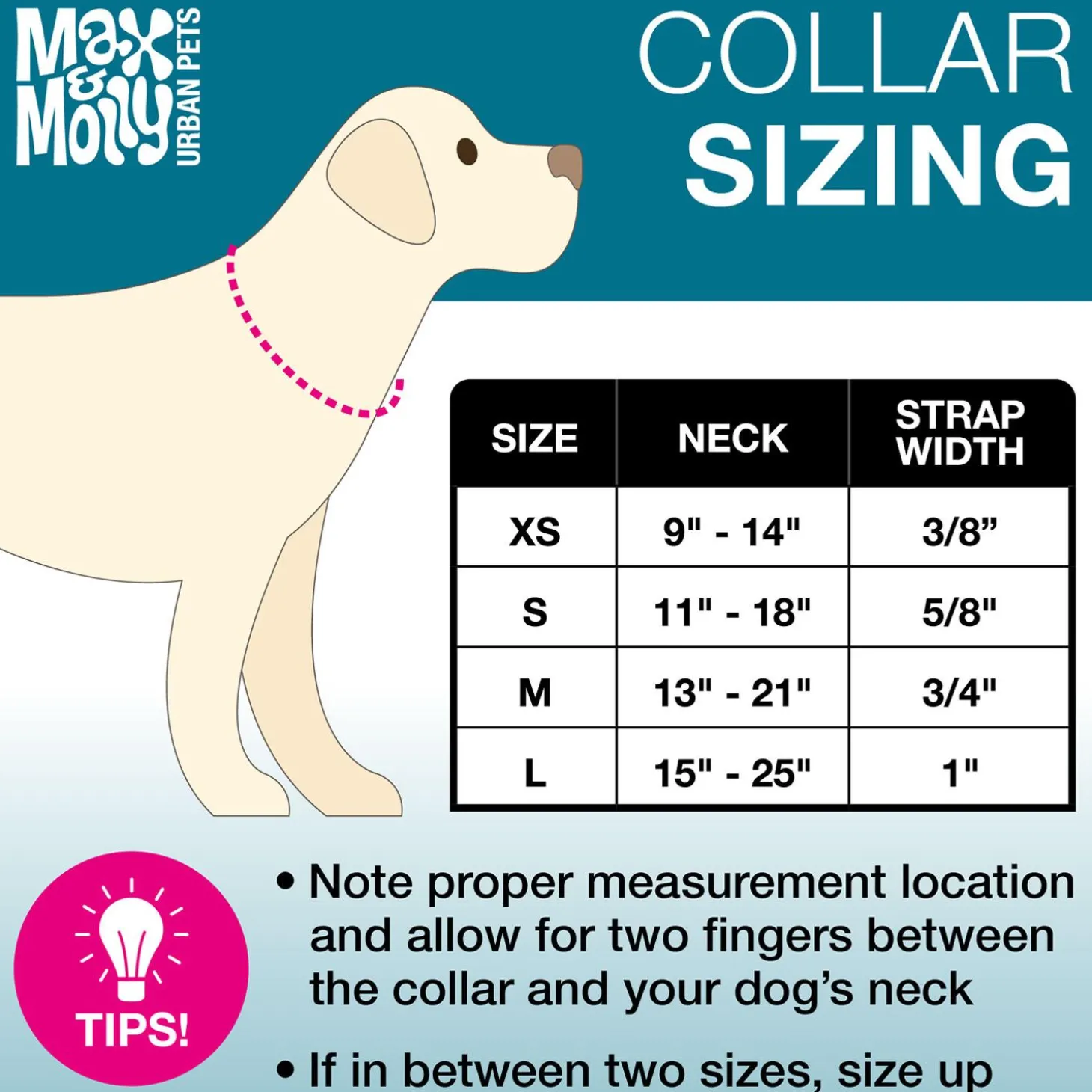 Neoprene SMART ID Kiwi Dog Collar