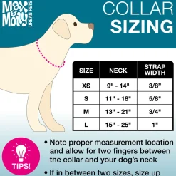 Neoprene SMART ID Kiwi Dog Collar