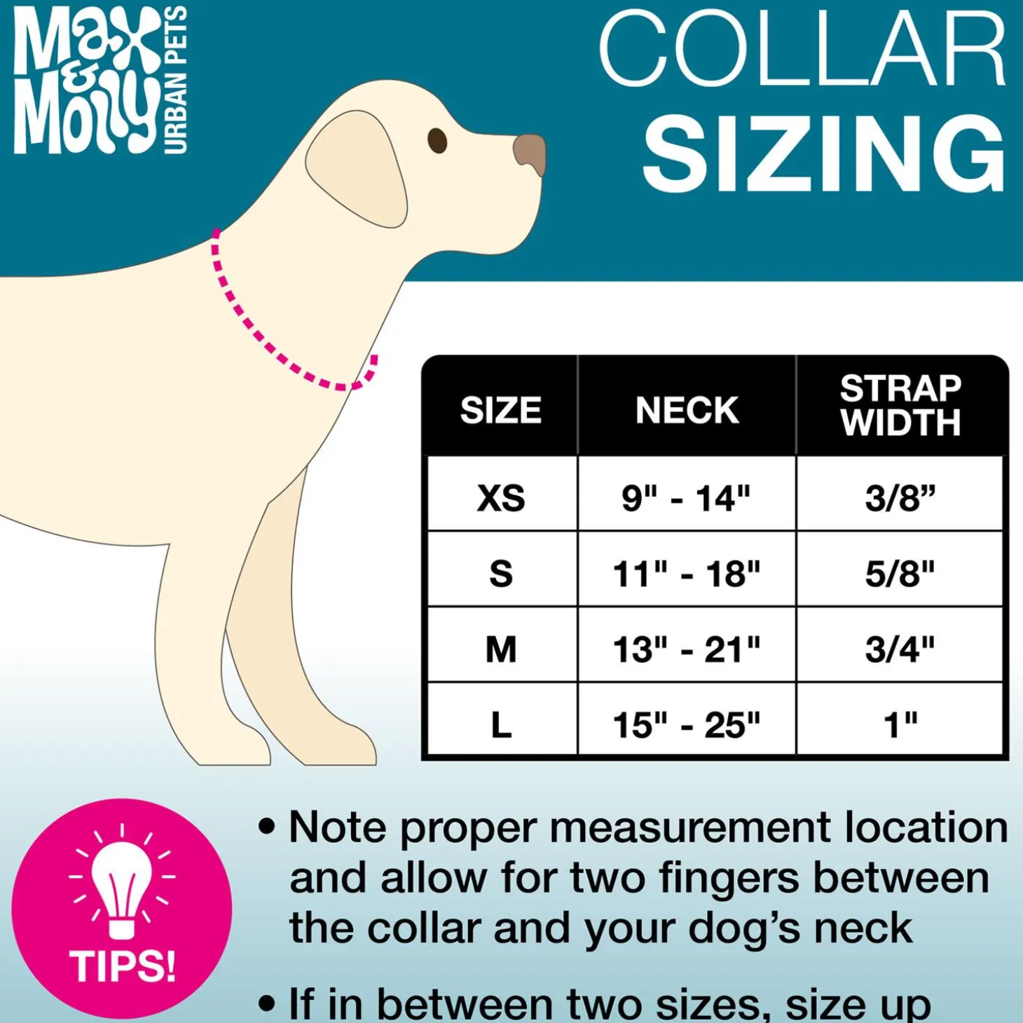 Neoprene SMART ID Kiwi Dog Collar