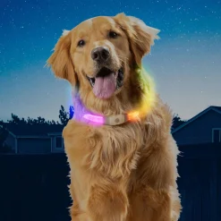 NiteHowl Max Disc-O Select Rechargeable LED Safety Necklace