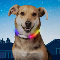 NiteHowl Mini Rechargeable LED Safety Necklace - Disc-O Select