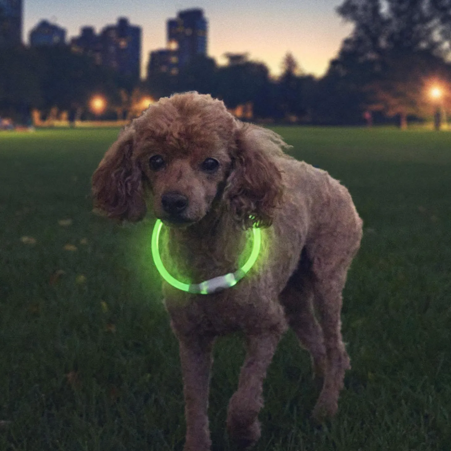 NiteHowl Rechargeable LED Green Safety Necklace
