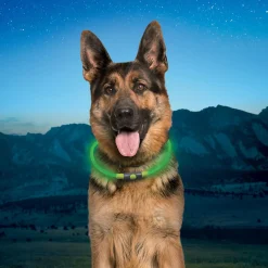 NiteHowl Rechargeable LED Green Safety Necklace
