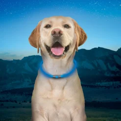 NiteHowl Rechargeable LED Blue Safety Necklace