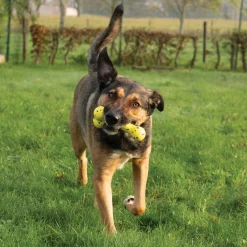 NITRO Bendy Bone Dog Toy