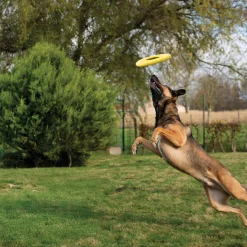 NITRO Flying Disc Dog Toy