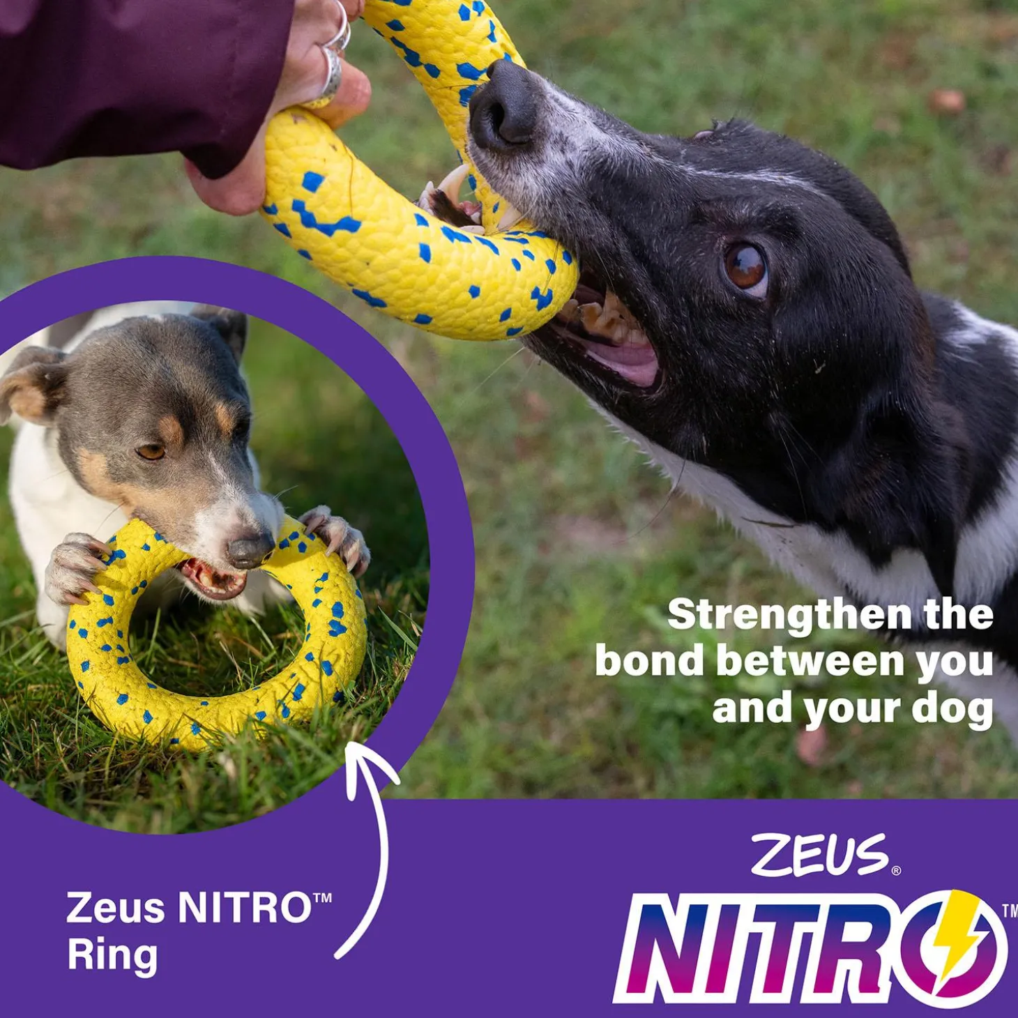 NITRO Ring Dog Toy