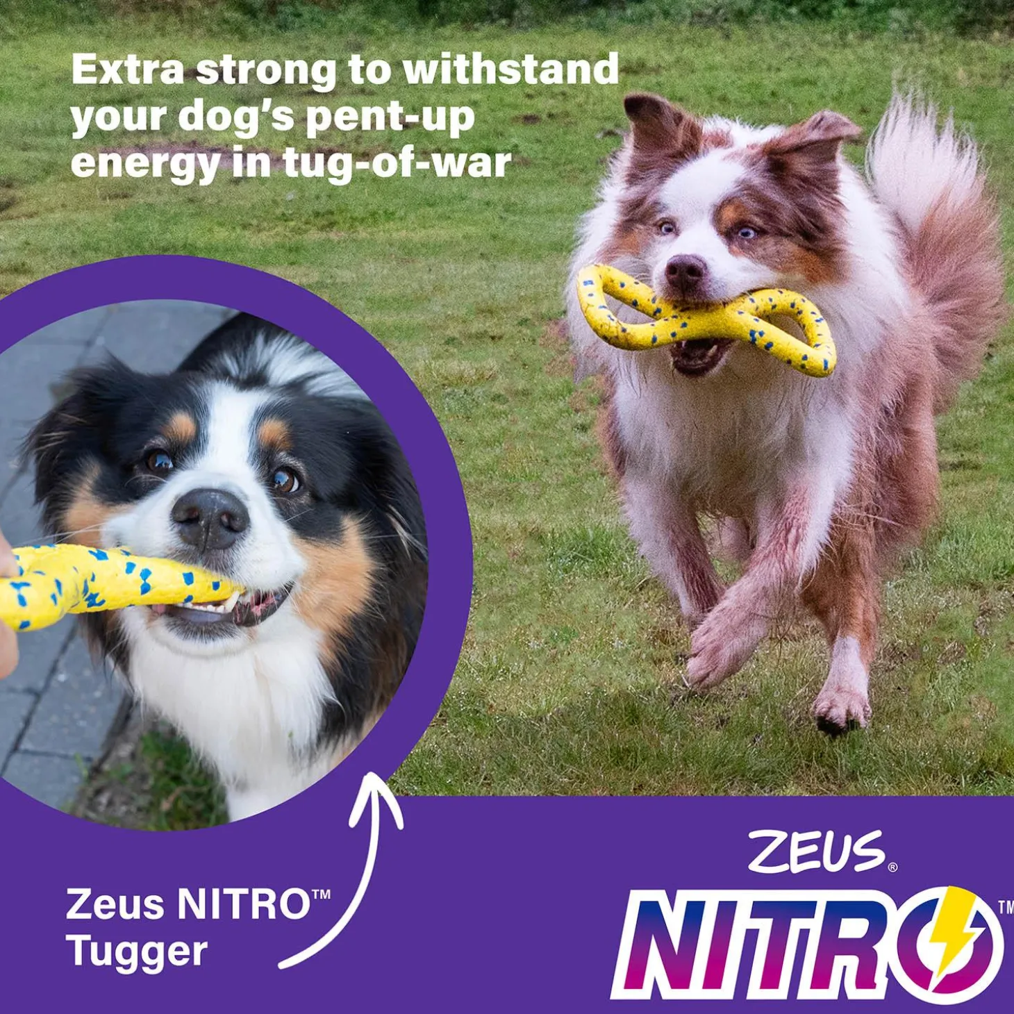 NITRO Tugger Dog Toy