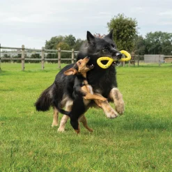 NITRO Tugger Dog Toy