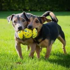NITRO Weighted Grip Ball Dog Toy