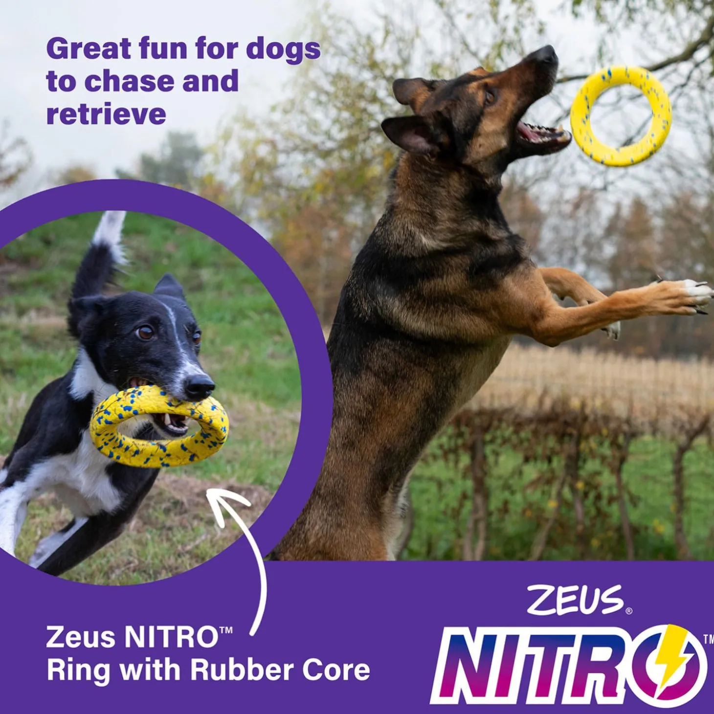 NITRO Weighted Ring Roller Dog Toy