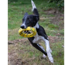 NITRO Weighted Ring Roller Dog Toy