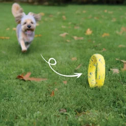 NITRO Weighted Ring Roller Dog Toy