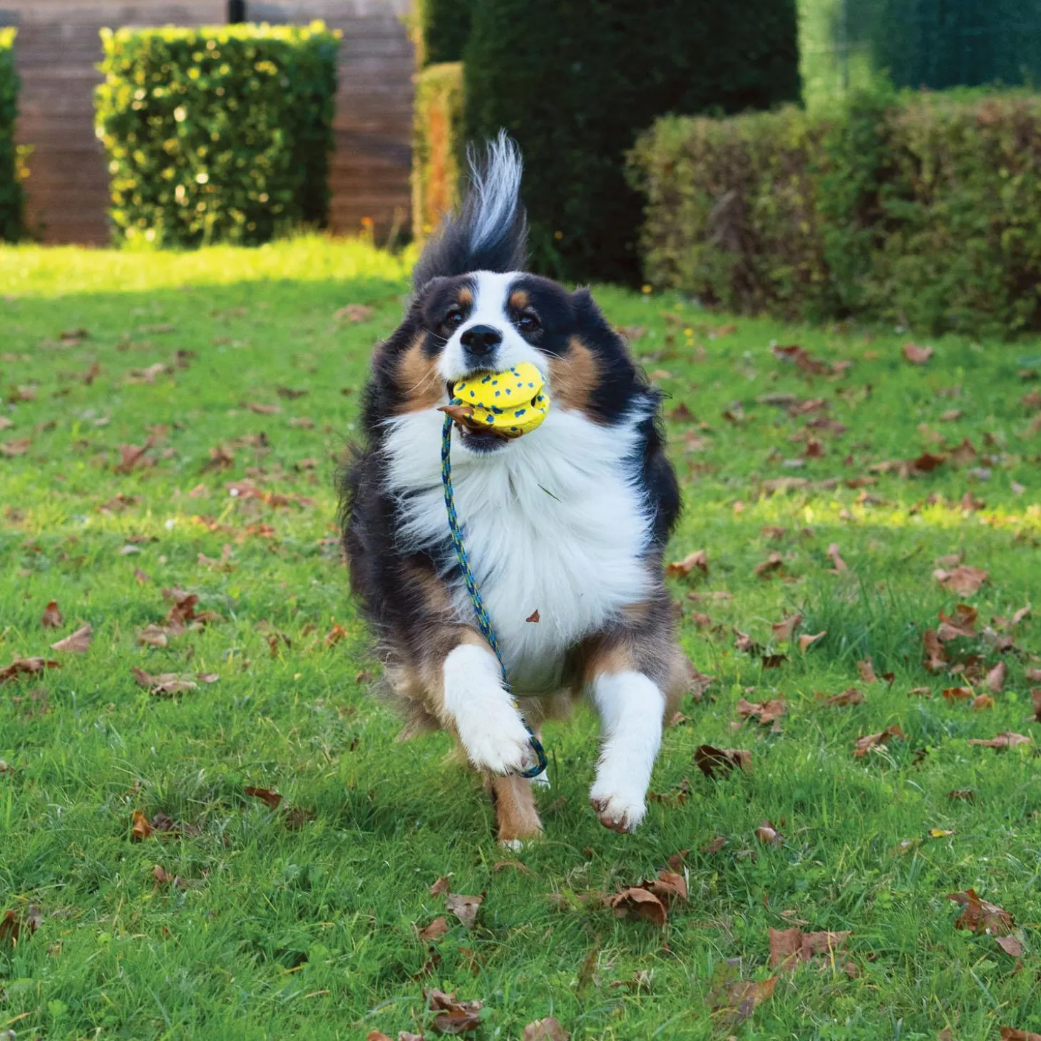 NITRO Weighted Slinger with Rope Dog Toy