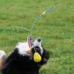 NITRO Weighted Slinger with Rope Dog Toy