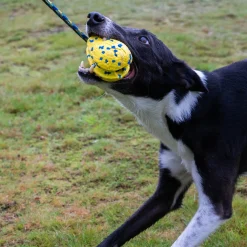 NITRO Weighted Slinger with Rope Dog Toy