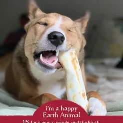 No-Hide Grass-Fed Beef Natural Rawhide Alternative Dog Chews 2 Pack