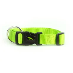 Nylon Adjustable Lime Green Dog Collar