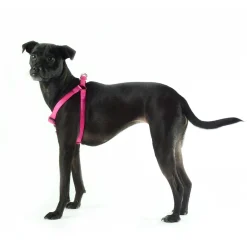Nylon Adjustable Pink Dog Harness