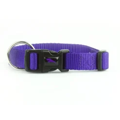 Nylon Adjustable Purple Dog Collar
