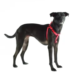 Nylon Adjustable Red Dog Harness