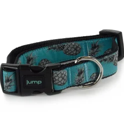 Nylon Adjustable Teal Pineapple Dog Collar