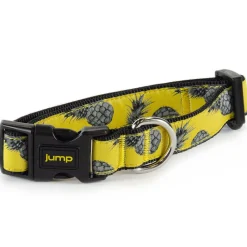 Nylon Adjustable Yellow Pineapple Dog Collar