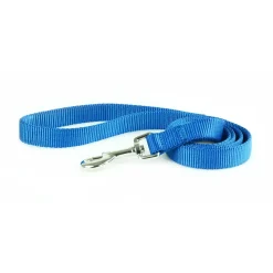Nylon 1in Blue Dog Leash