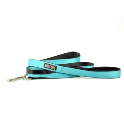 Nylon 5/8in Blue Dog Leash
