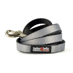 Nylon 1in Grey Dog Leash