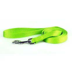 Nylon 3/8in Lime Green Dog Leash